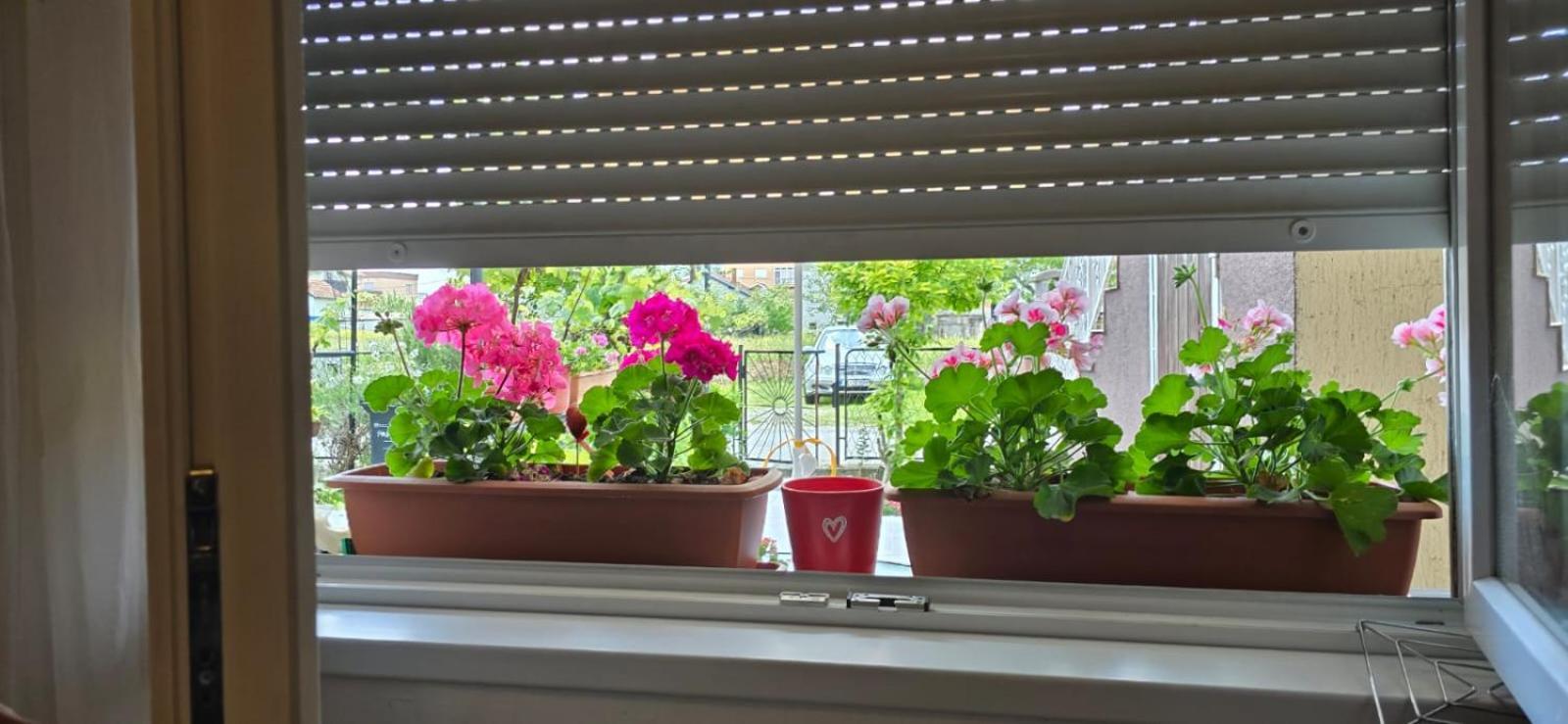 Apartman Tina Zagreb Buitenkant foto